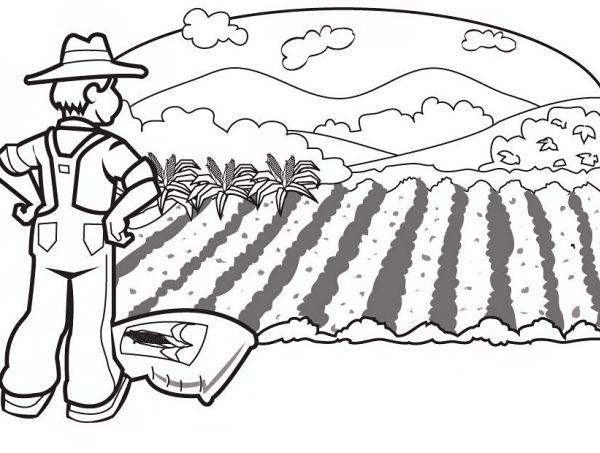 INCONTRI SU AGRICOLTURA BIOLOGICA